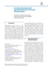 Co-Opting Developmental Signaling Pathways to Promote Wound Healing