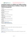 Integrated Analysis of miRNAs and mRNA Profiling Reveals the Potential Role of miRNAs in Sheep Hair Follicle Development