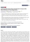 4-Aminopyridine Induces Nerve Growth Factor to Improve Skin Wound Healing and Tissue Regeneration