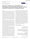 Alterations of Collagen Type 1, Skin Fibroblasts, and Macrophages in the Scalp Following the Treatment of 1550-nm Erbium Glass Fractional Laser for Androgenetic Alopecia