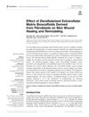 Effect of Decellularized Extracellular Matrix Bioscaffolds Derived from Fibroblasts on Skin Wound Healing and Remodeling