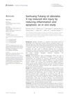 Sanhuang Fukang Oil Alleviates X-Ray-Induced Skin Injury by Reducing Inflammation and Apoptosis: An In Vivo Study