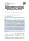 Development and Molecular Characterization of Human Placental Mesenchymal Stem Cells from Aborted Fetal Tissue as a Model to Study Mechanism of Spontaneous Abortion
