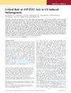 Critical Role of ATP-P2X7 Axis in UV-Induced Melanogenesis