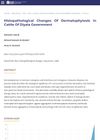 Histopathological Changes of Dermatophytosis in Cattle of Diyala Governorate