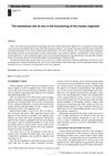 The Biomedical Role of Zinc in the Functioning of the Human Organism