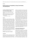 Keratin Function and Regulation in Tissue Homeostasis and Pathogenesis