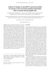 Analysis of Changes in MicroRNA Expression Profiles in Response to the Troxerutin-Mediated Antioxidant Effect in Human Dermal Papilla Cells
