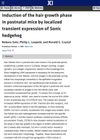 Induction of the Hair Growth Phase in Postnatal Mice by Localized Transient Expression of Sonic Hedgehog