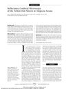 Reflectance Confocal Microscopy of the Yellow Dot Pattern in Alopecia Areata