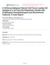 Virilizing Malignant Steroid Cell Tumor: Leydig Cell Subtype in a 24-Year-Old Palestinian Female