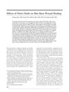 Effects of Nitric Oxide on Skin Burn Wound Healing
