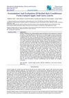 Formulation and Evaluation of Herbal Hair Conditioner from Custard Apple and Curry Leaves