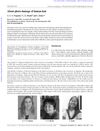 About Photo-Damage of Human Hair