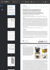 Revealing the 3D Sub-Micron Organization of Melanosomes Across Mammalia with NanoCT