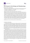 TRP Channels in Skin Biology and Pathophysiology