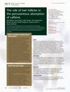 The Role of Hair Follicles in the Percutaneous Absorption of Caffeine