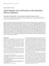Np63 Regulates Stem Cell Dynamics in the Mammalian Olfactory Epithelium