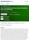 Skin of the Baikal Seal (Pusa Sibirica, Phocidae): Norm and Pathology