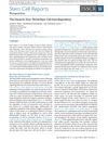 The Dynamic Duo: Niche and Stem Cell Interdependency