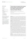 Transcriptome Sequencing Reveals Key Genes Associated With Hair Follicle Development in Qianhua Mutton Merino
