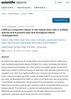 LGR5 Is a Conserved Marker of Hair Follicle Stem Cells in Multiple Species and Is Present Early and Throughout Follicle Morphogenesis