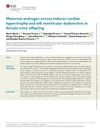 Maternal Androgen Excess Induces Cardiac Hypertrophy and Left Ventricular Dysfunction in Female Mice Offspring
