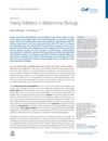 Hair Matters in Melanoma Biology