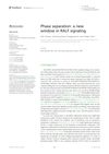 Phase Separation: A New Window in RALF Signaling
