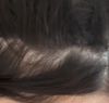 Lost and need help