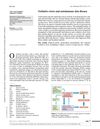 Oxidative Stress and Autoimmune Skin Disease