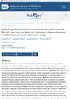 Multi-Target Aesthetic Enhancement With 1064 nm Q-Switched Nd:YAG Laser: Face and Body Hair Lightening, Pigment Clearance, and Skin Rejuvenation in Indian Dermatology