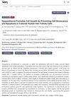 Dexpanthenol Promotes Cell Growth by Preventing Cell Senescence and Apoptosis in Cultured Human Hair Follicle Cells