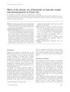 Effects of the Chronic Use of Finasteride on Testicular Weight and Spermatogenesis in Wistar Rats