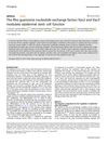 The Rho Guanosine Nucleotide Exchange Factors Vav2 And Vav3 Modulate Epidermal Stem Cell Function