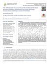 The Human Hair Follicle Pulsating Biomagnetic Field Reach as Possible Additional Factor in Migraine Headaches: A Biophysics-Based Hypothesis