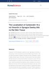 The Localization of Cytokeratin 19 and Vimentin in Sprague Dawley Albino Rat Skin Tissue