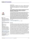 Evaluation of SARS-CoV-2 Entry, Inflammation, and New Therapeutics in Human Lung Tissue Cells