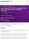 Bulge Progenitor Cells: A Promising Frontier in Hair Follicle Regeneration and Clinical Translation