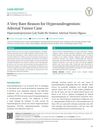 A Very Rare Reason for Hyperandrogenism: Adrenal Tumor Case