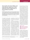 Stem Cells in the Hair Follicle and Interfollicular Epidermis of Mice Following Topical Application of Fluocinolone Acetonide