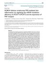 ROBO4 Deletion Ameliorates PAF-Mediated Skin Inflammation by Regulating the mRNA Translation Efficiency of LPCAT1/LPCAT2 and the Expression of PAF Receptor