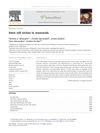 Stem Cell Niches in Mammals