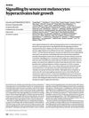 Signaling by Senescent Melanocytes Hyperactivates Hair Growth