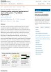Deciphering the Molecular Mechanisms of Stem Cell Dynamics in Hair Follicle Regeneration