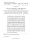 The Circadian Clock in Skin