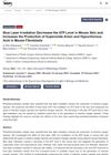 Blue Laser Irradiation Decreases ATP Levels in Mouse Skin and Increases Production of Superoxide Anion and Hypochlorous Acid in Mouse Fibroblasts