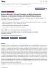 Beyond Minoxidil: Off-Label Therapies for Male Androgenetic Alopecia—A Systematic Review with Network Meta-Analyses