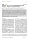 Adult Spiny Mice (Acomys) Exhibit Endogenous Cardiac Recovery in Response to Myocardial Infarction