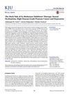 The Dark Side of 5α-Reductase Inhibitors' Therapy: Sexual Dysfunction, High Gleason Grade Prostate Cancer, and Depression